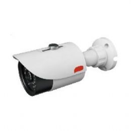 Telecamera IP 2 Megapixel